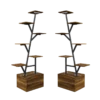 C